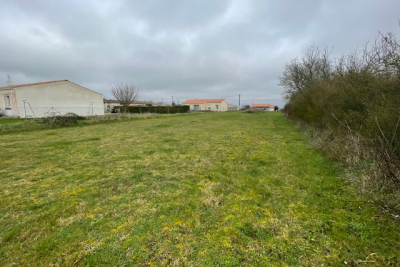 terrain &agrave; vendre &agrave; immobilier ARCES   - 1445 m&sup2; 