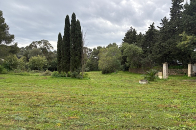 terrain &agrave; vendre 731 