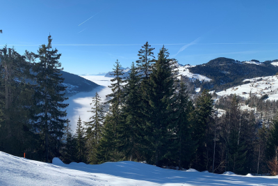 terrain &agrave; vendre &agrave; immobilier COHENNOZ   - 450 m&sup2; 