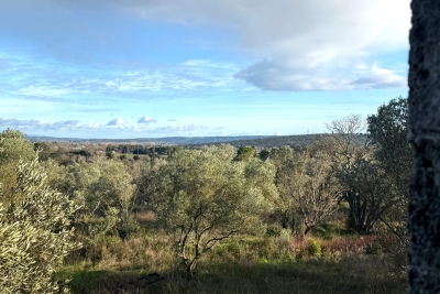 terrain &agrave; vendre &agrave; UZÈS   - 6050 m&sup2; 