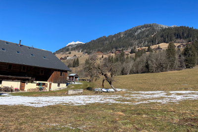 terrain &agrave; vendre &agrave; LA CHAPELLE-D'ABONDANCE   - 676 m&sup2; 