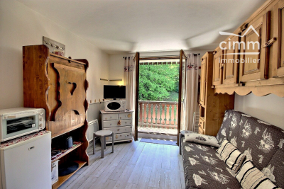 Appartement &agrave; vendre &agrave; ARACHES-LA-FRASSE  - 1 pi&egrave;ces - 17 m&sup2; 