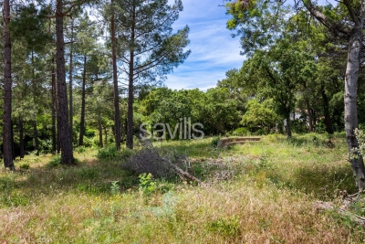 terrain &agrave; vendre &agrave; GRIMAUD   - 3221 m&sup2; 
