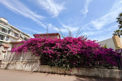 Maison &agrave; vendre &agrave; NICE  - 4 pi&egrave;ces - 117 m&sup2; 