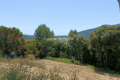 terrain &agrave; vendre &agrave; PÉGOMAS   - 2343 m&sup2; 
