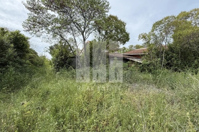 terrain &agrave; vendre &agrave; MOUGINS   - 3700 m&sup2; 