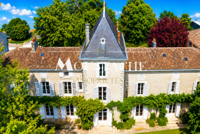 Maison &agrave; vendre &agrave; immobilier MELLE  - 15 pi&egrave;ces - 510 m&sup2; 