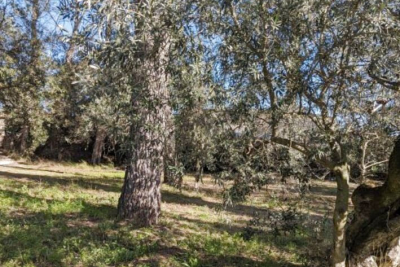 terrain &agrave; vendre &agrave; LORGUES   - 1348 m&sup2; 