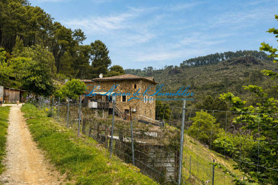 Maison &agrave; vendre &agrave; ST-PAUL-LA-COSTE  - 5 pi&egrave;ces - 120 m&sup2; 