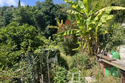 Maison &agrave; vendre &agrave; STE-AGNÈS Gorbio - 2 pi&egrave;ces - 57 m&sup2; 