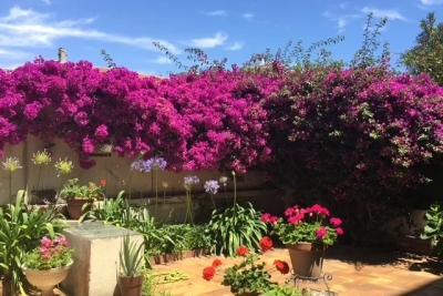 Appartement &agrave; vendre &agrave; CANNES Riviera - 2 pi&egrave;ces - 36 m&sup2; 