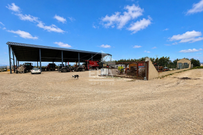 terrain &agrave; vendre &agrave; ST LAURENT DE LA SALANQUE   - 11162 m&sup2; 