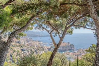 Villa in Cap-d'Ail for rental from 25 000 € / week, Photo 3