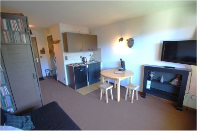 Appartement &agrave; vendre &agrave; MANIGOD  - 1 pi&egrave;ces - 20 m&sup2; 