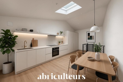 Maison à vendre plein ciel 3
