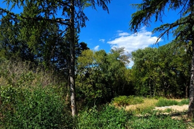 terrain &agrave; vendre &agrave; CASTELNAU-LE-LEZ  - 7 pi&egrave;ces - 1200 m&sup2; 