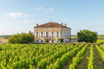 Maison &agrave; vendre &agrave; St-Emilion  - 11 pi&egrave;ces 505 m&sup2; 