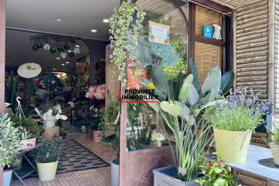 Bien &agrave; vendre &agrave; NYONS   - 98 m&sup2; 
