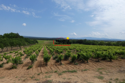 terrain &agrave; vendre &agrave; Rochegude   14522 m&sup2; 
