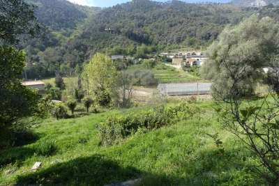terrain &agrave; vendre &agrave; Gorbio   3000 m&sup2; 