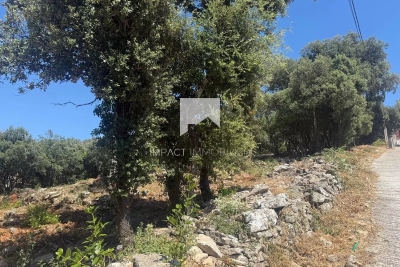 terrain &agrave; vendre &agrave; Solliès-Toucas   2000 m&sup2; 