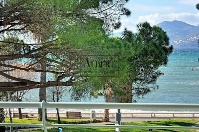Apartment in Cannes for rental from 2 000 € / week, Photo 3