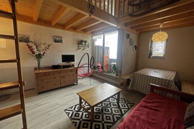 Appartement &agrave; vendre &agrave; MANIGOD  - 2 pi&egrave;ces - 44 m&sup2; 