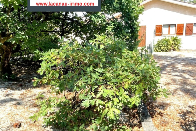 Maison &agrave; vendre &agrave; LACANAU  - 8 pi&egrave;ces - 116 m&sup2; 