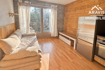 Appartement &agrave; vendre &agrave; ARACHES-LA-FRASSE Centre - 1 pi&egrave;ces - 23 m&sup2; 