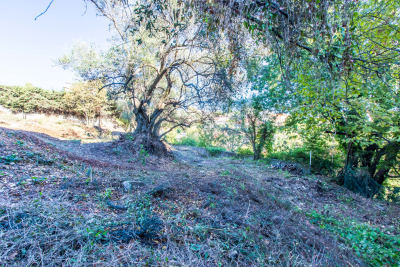 terrain &agrave; vendre &agrave; NICE   - 887 m&sup2; 