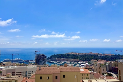 Appartement &agrave; vendre &agrave; BEAUSOLEIL  - 2 pi&egrave;ces - 36 m&sup2; 