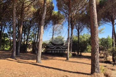 terrain &agrave; vendre &agrave; LE PLAN-DE-LA-TOUR   - 5732 m&sup2; 