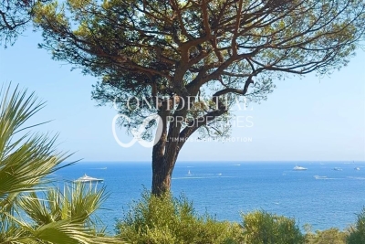 Maison &agrave; vendre &agrave; ST-TROPEZ Centre - 23 pi&egrave;ces - 1700 m&sup2; 