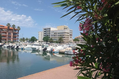Appartement &agrave; louer &agrave; CANET PLAGE  - 2 pi&egrave;ces - 30 m&sup2; 