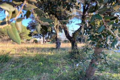 terrain &agrave; vendre &agrave; ST-QUENTIN-LA-POTERIE   - 459 m&sup2; 
