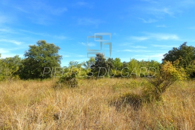 terrain &agrave; vendre &agrave; ARPAILLARGUES-ET-AUREILLAC   - 24000 m&sup2; 