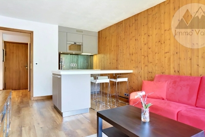 Appartement &agrave; vendre &agrave; PRAZ-SUR-ARLY  - 1 pi&egrave;ces - 24 m&sup2; 
