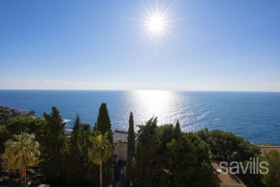 Apartment in Cap-d'Ail for rental from 6 000 € / week, Photo 18