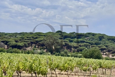 Maison &agrave; vendre &agrave; Ramatuelle  - 8 pi&egrave;ces 374 m&sup2; 