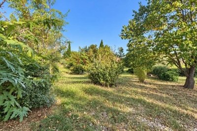 terrain &agrave; vendre &agrave; St-Rémy-de-Provence  - 3 pi&egrave;ces 1783 m&sup2; 