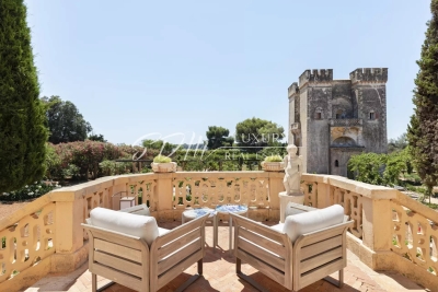 Villa in Cannes for rental from 210 000 € / week, Photo 18