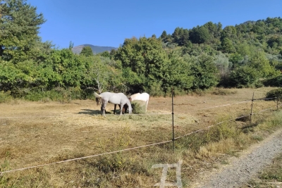 terrain &agrave; vendre &agrave; Sospel   2926 m&sup2; 