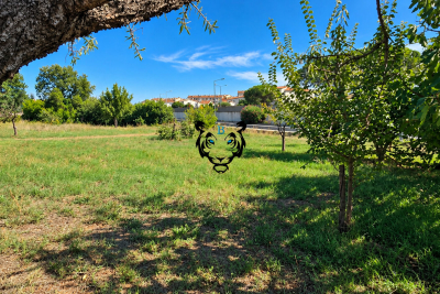 terrain &agrave; vendre pour personne 