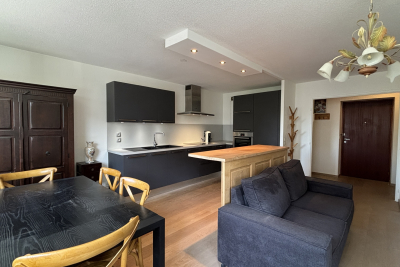 Appartement &agrave; vendre &agrave; Annecy  - 2 pi&egrave;ces 50 m&sup2; 