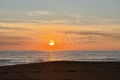 terrain &agrave; vendre &agrave; Soorts-Hossegor   1000 m&sup2; 