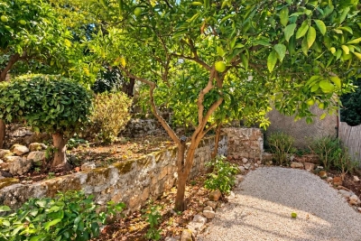 Appartement &agrave; vendre &agrave; Cannes  - Studio 33 m&sup2; 