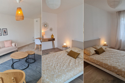 Seine-Saint-Denis-pict-immo-neuf