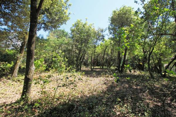 PYLA-SUR-MER - Advertisement building plot for sale PYLA-SUR-MER - Advertisement building plot for sale