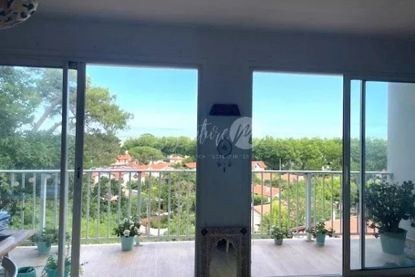 …