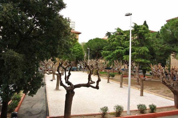 TOULON - Annonce Appartement à vendre 2 pièces - 58 m² TOULON - Annonce Appartement à vendre 2 pièces - 58 m²